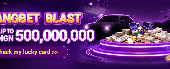 100% Welcome Match Bonus screenshot